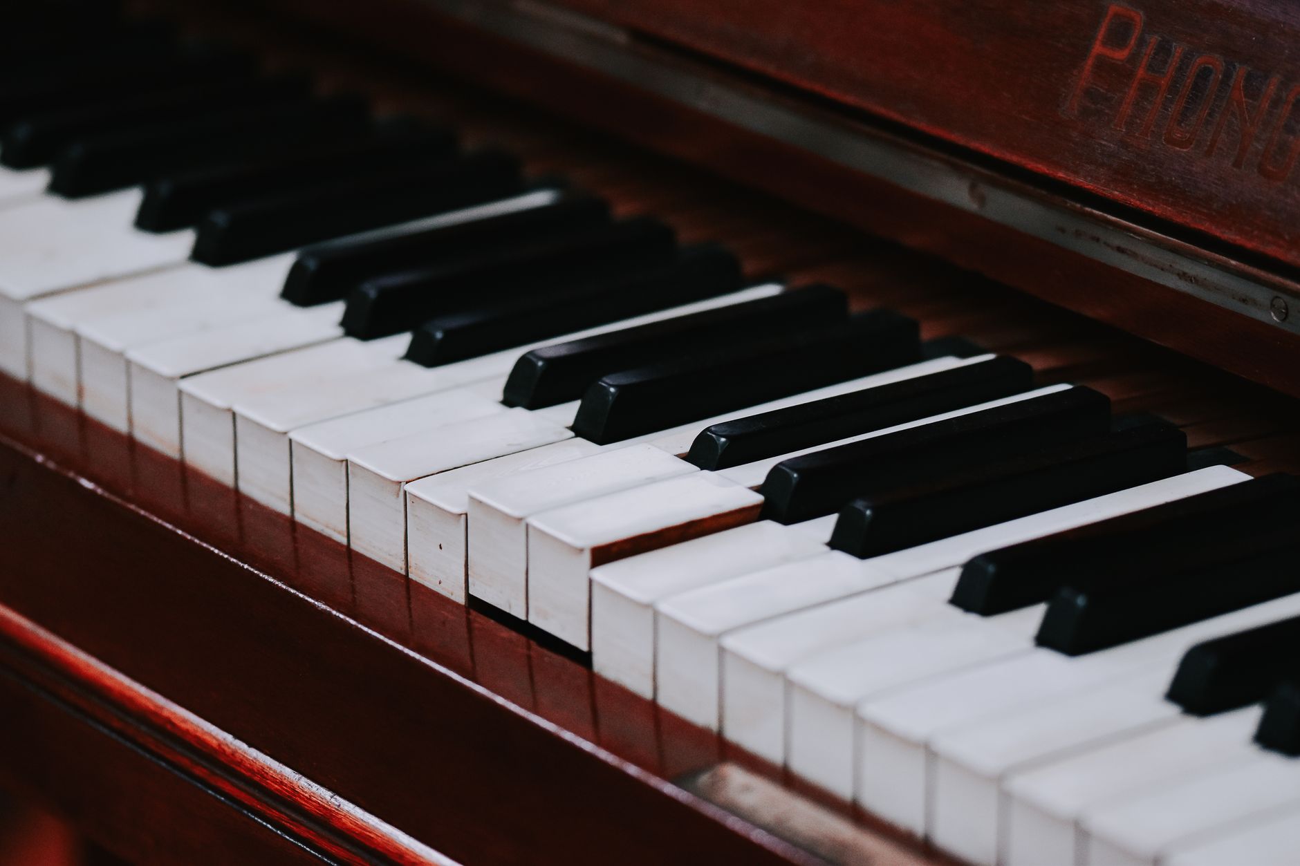 arturia minilab 3 mini keys close-up velocity