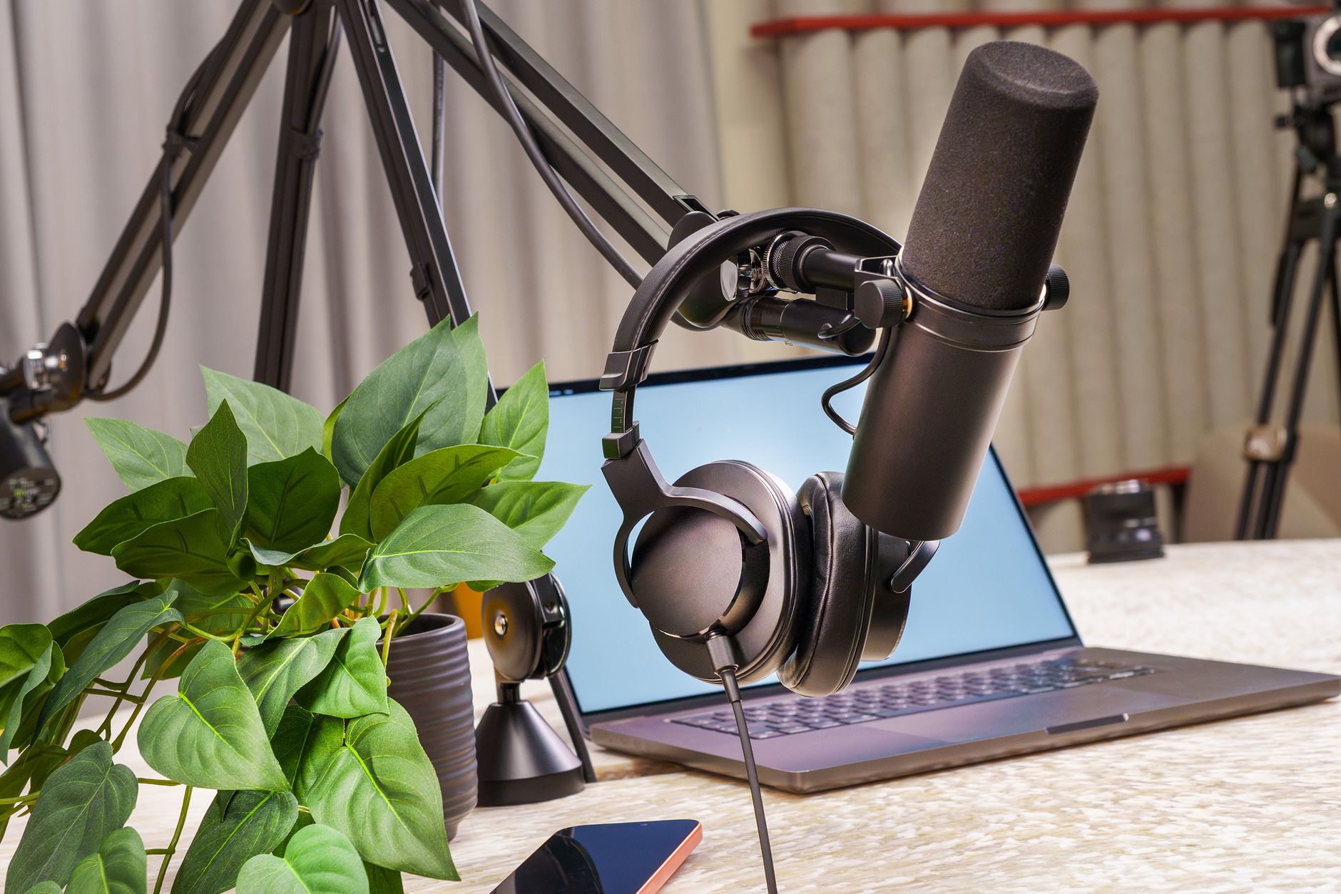 large-diaphragm condenser microphone on shock mount desk