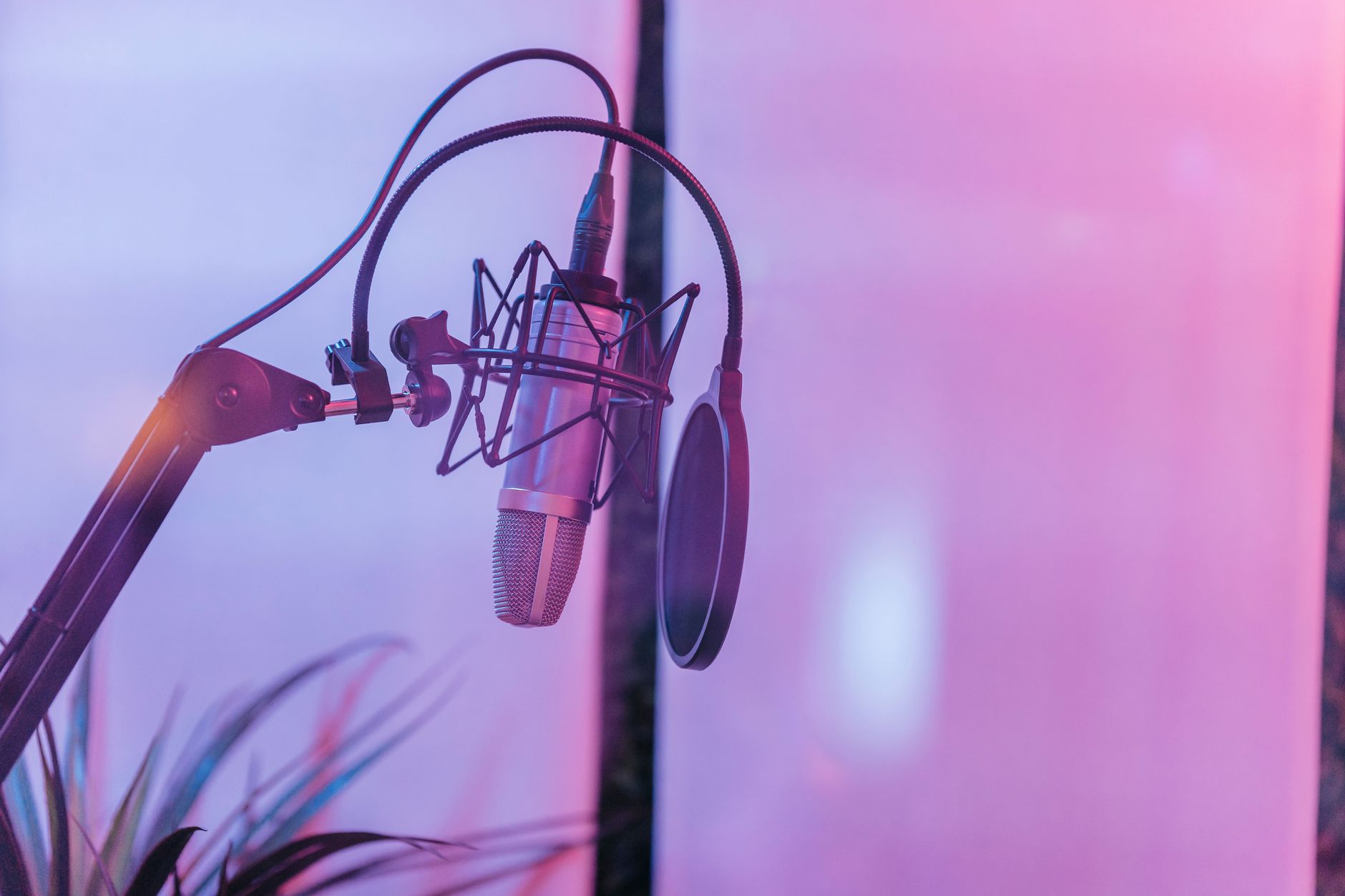 condenser microphone pop filter home studio