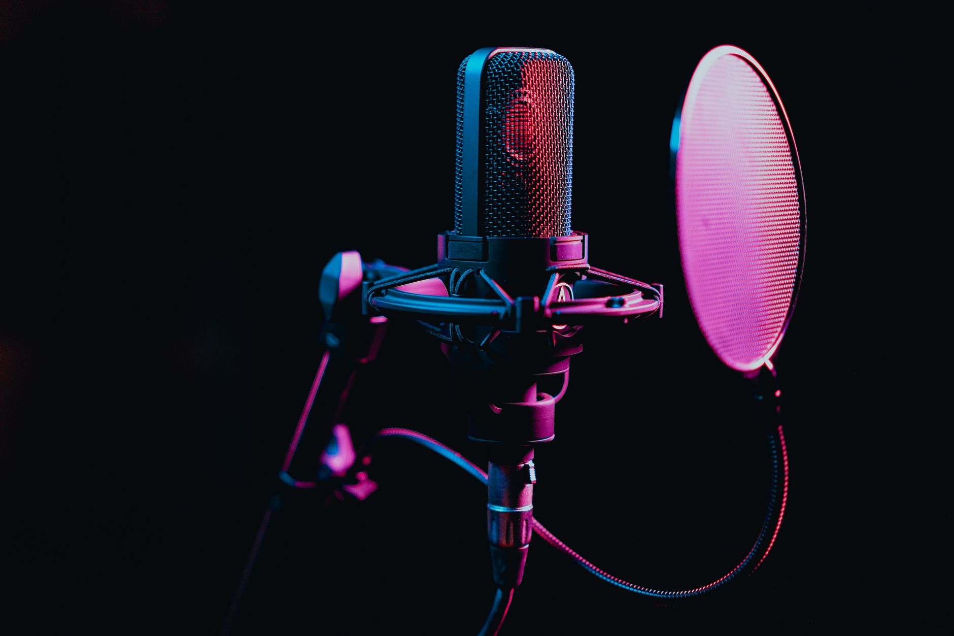 large diaphragm condenser microphone capsule close-up