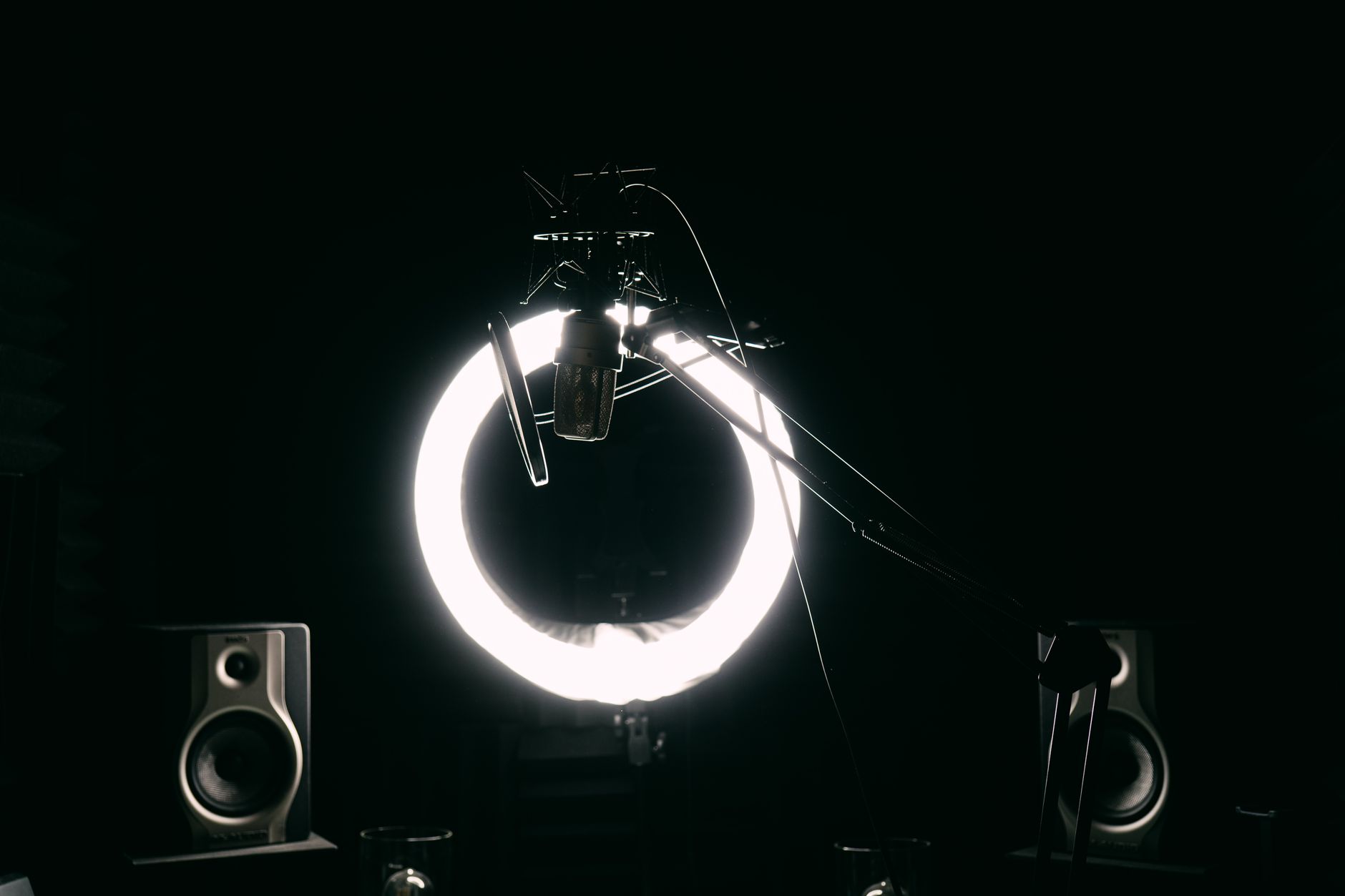 condenser microphone capsule close-up frequency response